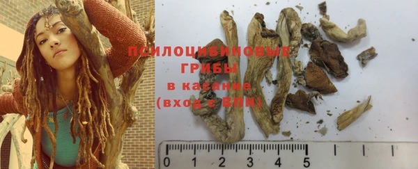 прущая мука Осташков