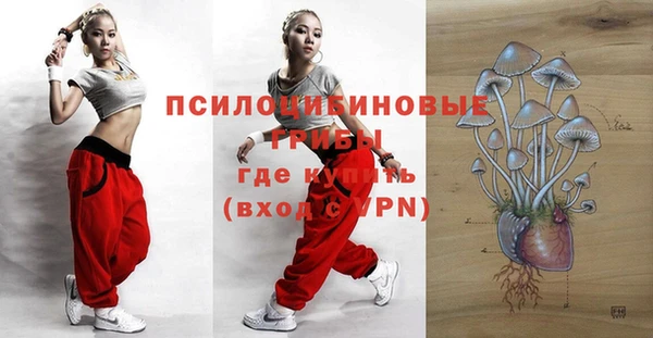 прущая мука Осташков