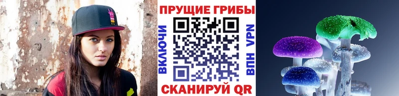 Купить закладки  Самара  Галлюциногенные грибы Psilocybine cubensis 